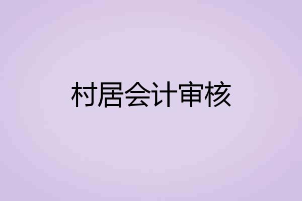 村居会计审核