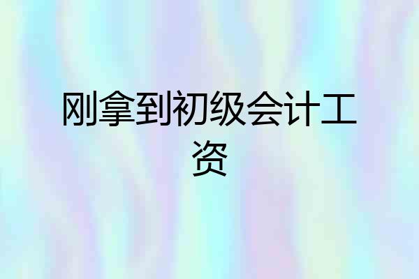 刚拿到初级会计工资