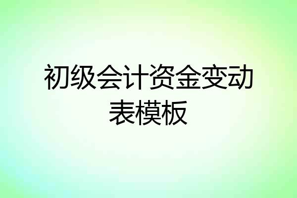 初级会计资金变动表模板