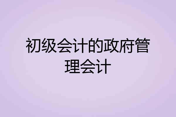 初级会计的政府管理会计