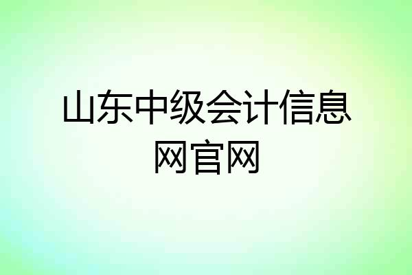 山东中级会计信息网官网