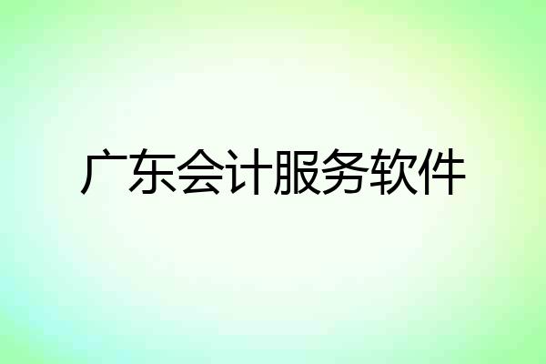 广东会计服务软件