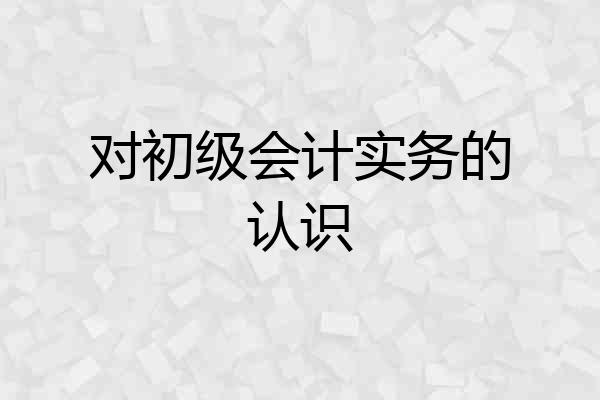 对初级会计实务的认识