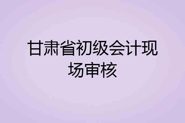 甘肃省初级会计现场审核