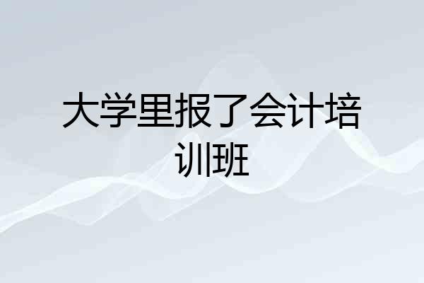 大学里报了会计培训班