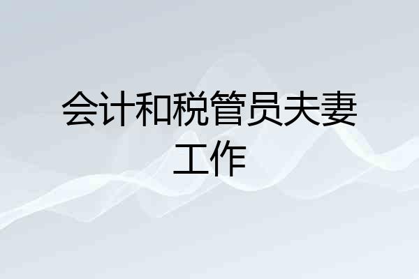 会计和税管员夫妻工作