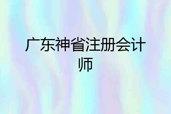 广东神省注册会计师