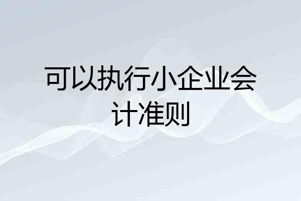可以执行小企业会计准则