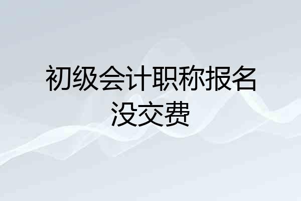 初级会计职称报名没交费