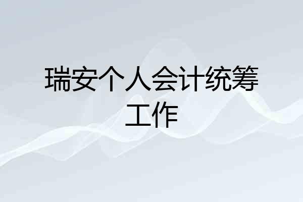 瑞安个人会计统筹工作