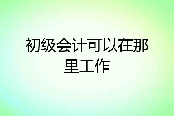 初级会计可以在那里工作