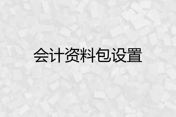 会计资料包设置