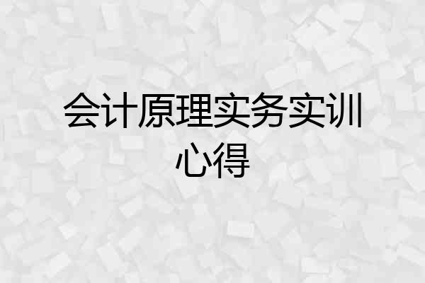 会计原理实务实训心得