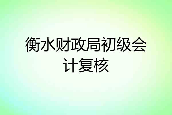 衡水财政局初级会计复核