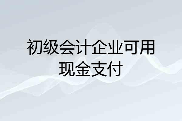 初级会计企业可用现金支付
