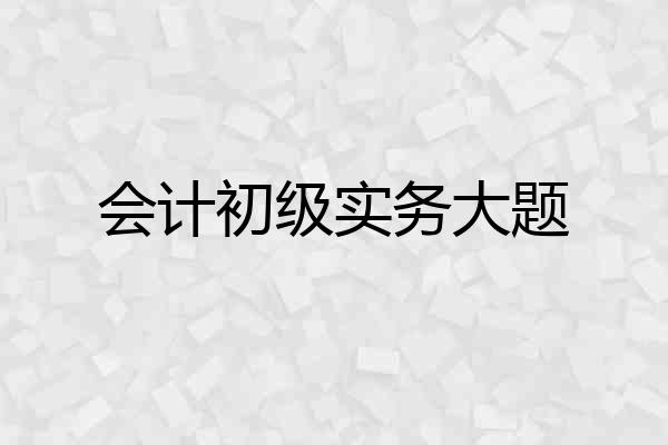 会计初级实务大题