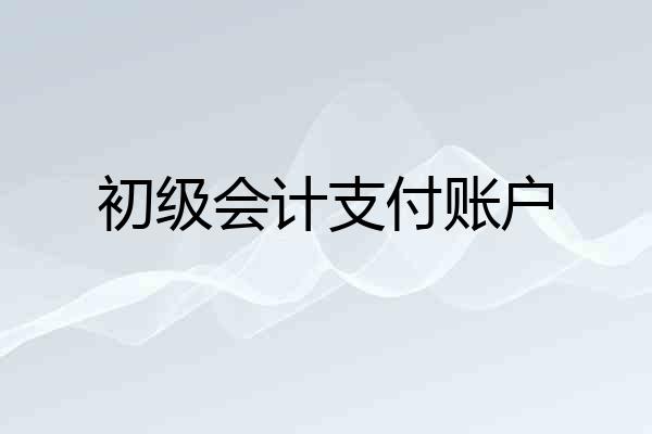 初级会计支付账户