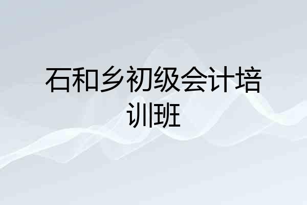 石和乡初级会计培训班