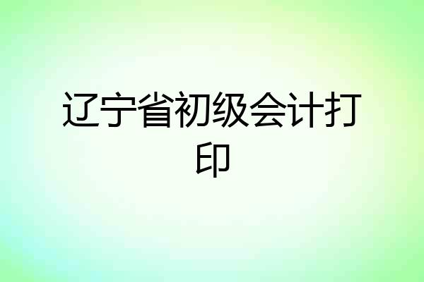辽宁省初级会计打印