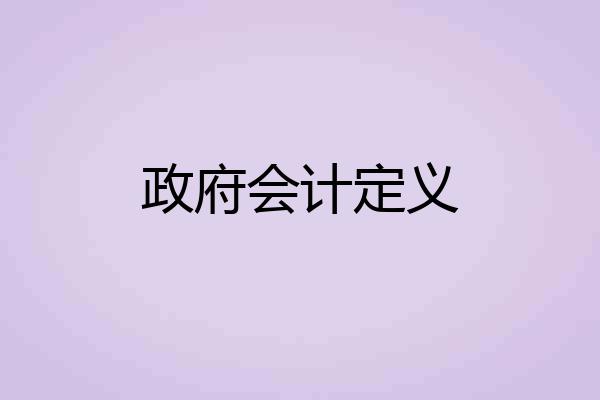 政府会计定义