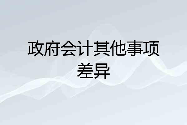 政府会计其他事项差异