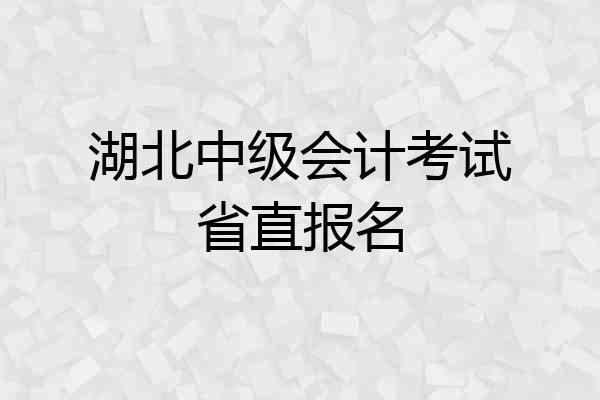 湖北中级会计考试省直报名
