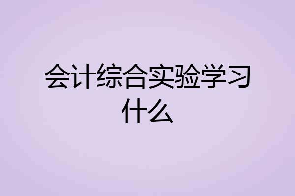 会计综合实验学习什么