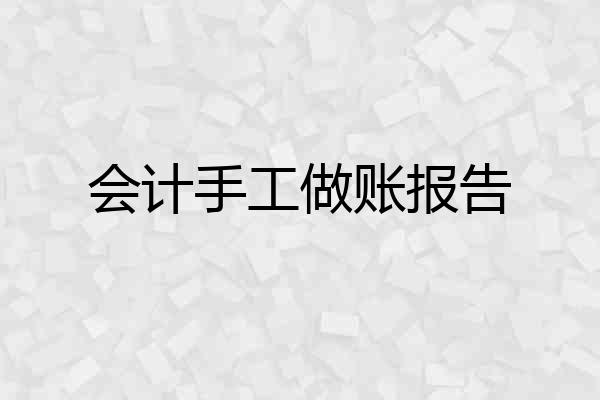 会计手工做账报告