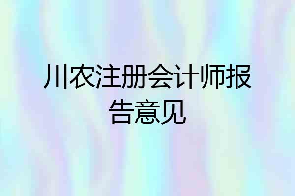 川农注册会计师报告意见