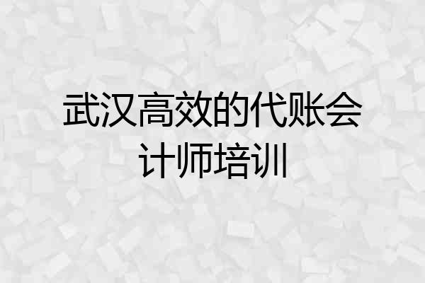 武汉高效的代账会计师培训