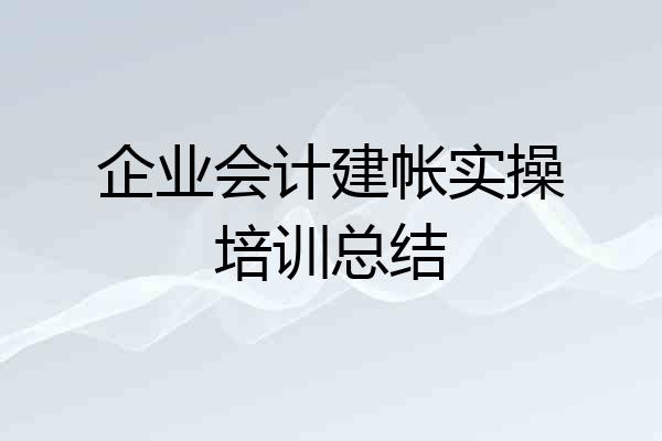 企业会计建帐实操培训总结