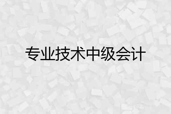 专业技术中级会计