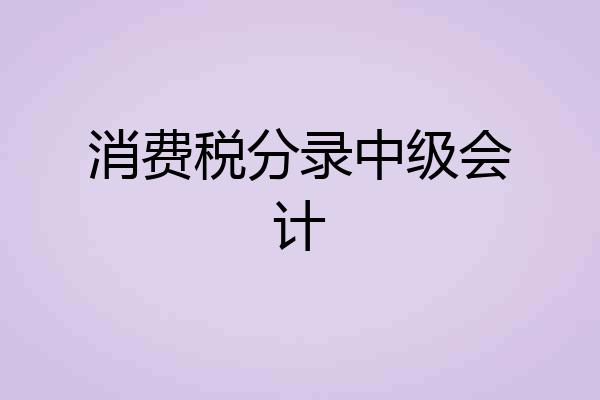 消费税分录中级会计