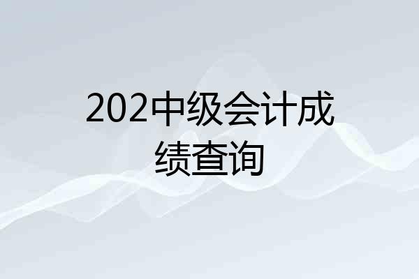 202中级会计成绩查询