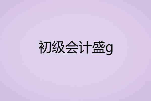 初级会计盛g