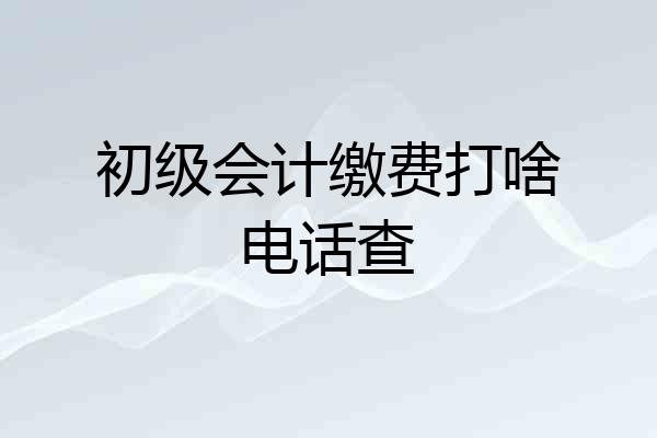 初级会计缴费打啥电话查