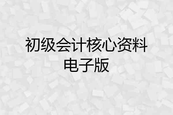 初级会计核心资料电子版