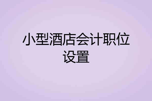 小型酒店会计职位设置