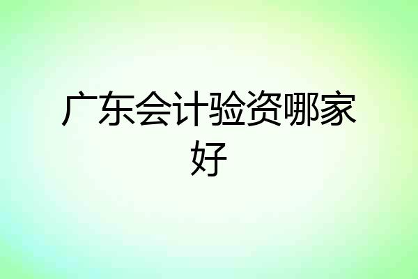 广东会计验资哪家好