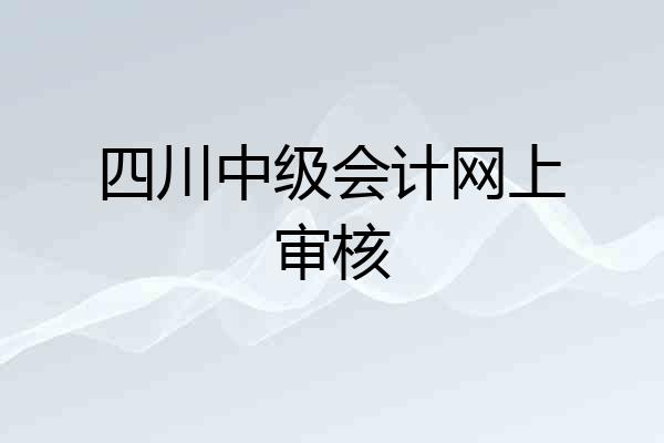 四川中级会计网上审核