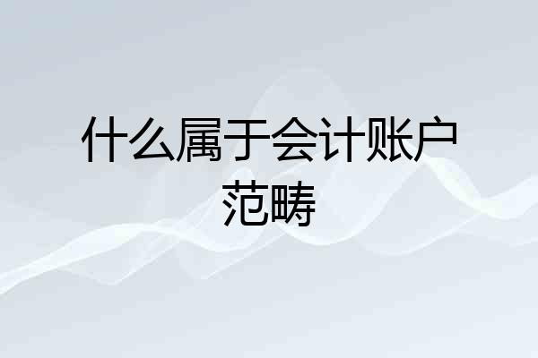 什么属于会计账户范畴