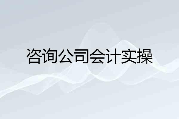 咨询公司会计实操