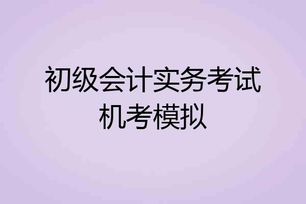 初级会计实务考试机考模拟