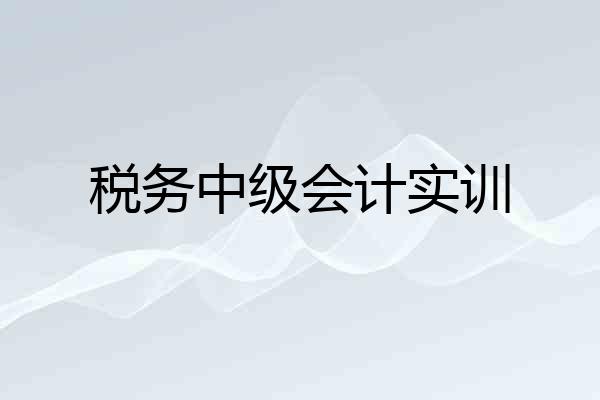 税务中级会计实训