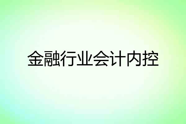 金融行业会计内控