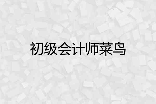 初级会计师菜鸟