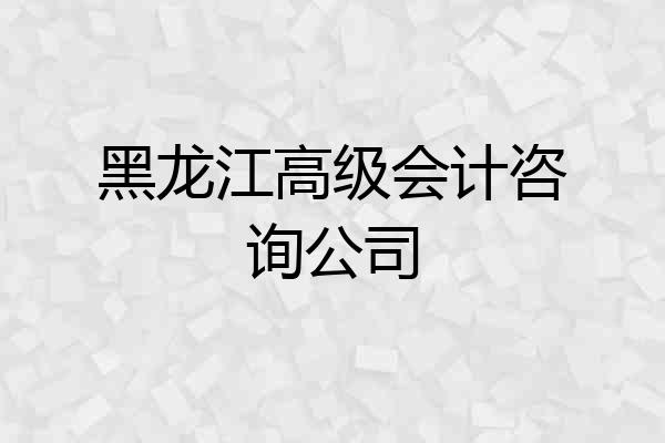 黑龙江高级会计咨询公司