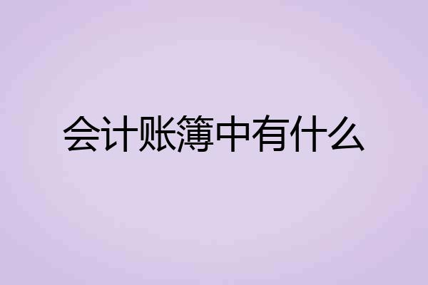 会计账簿中有什么