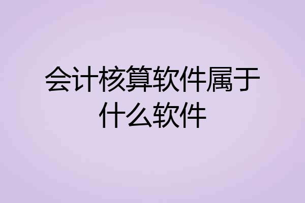 会计核算软件属于什么软件
