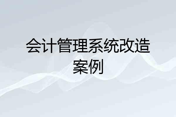 会计管理系统改造案例